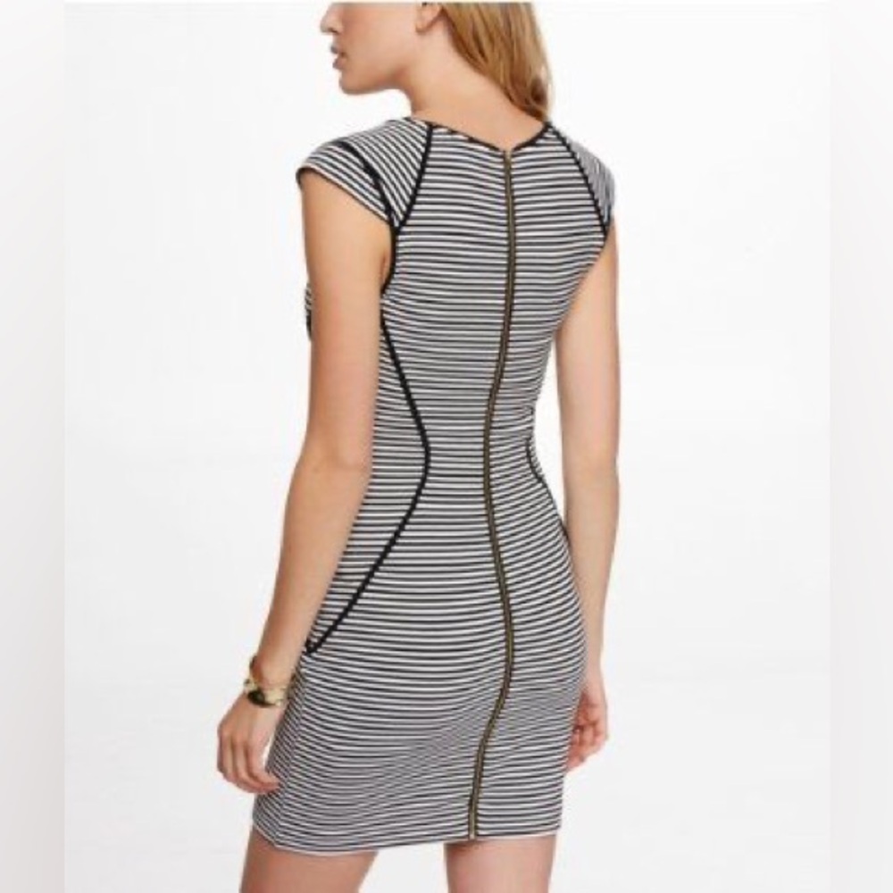 Curvy Bodycon Express Dress